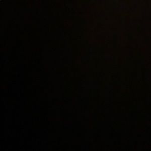 Meet your Posher, Rayna